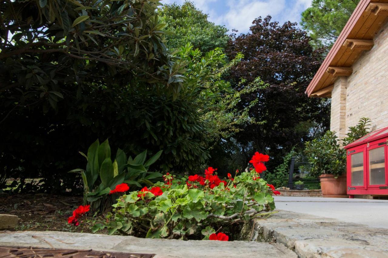 B&B Il Cavallino Civitanova Alta Ngoại thất bức ảnh