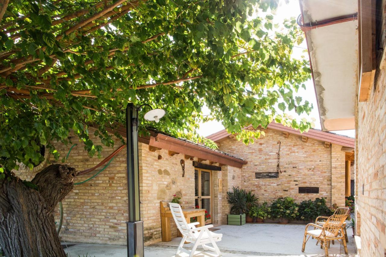 B&B Il Cavallino Civitanova Alta Ngoại thất bức ảnh