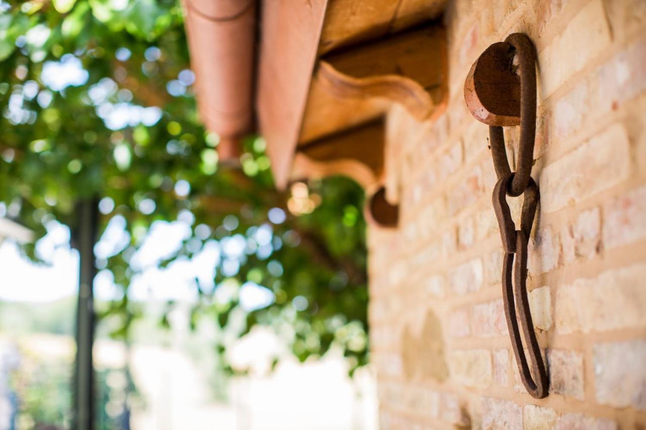 B&B Il Cavallino Civitanova Alta Ngoại thất bức ảnh
