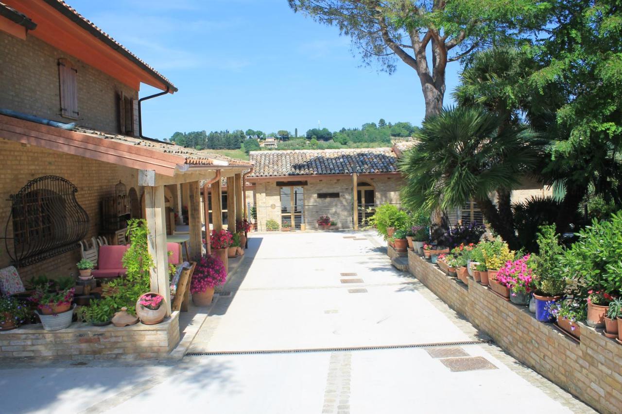 B&B Il Cavallino Civitanova Alta Ngoại thất bức ảnh