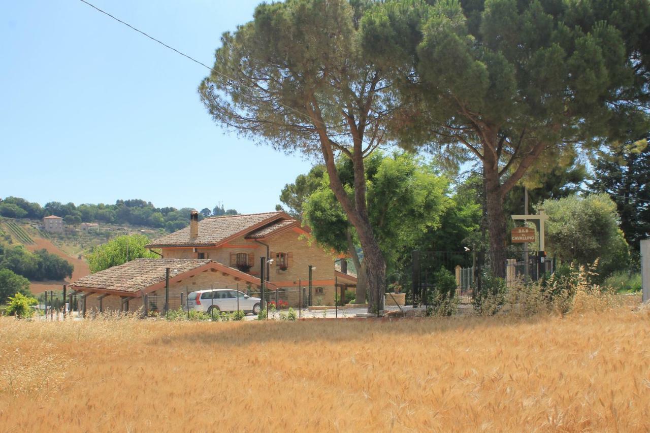 B&B Il Cavallino Civitanova Alta Ngoại thất bức ảnh